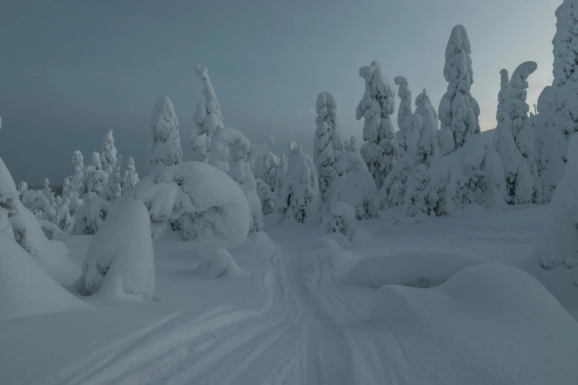 Finnish Lapland
