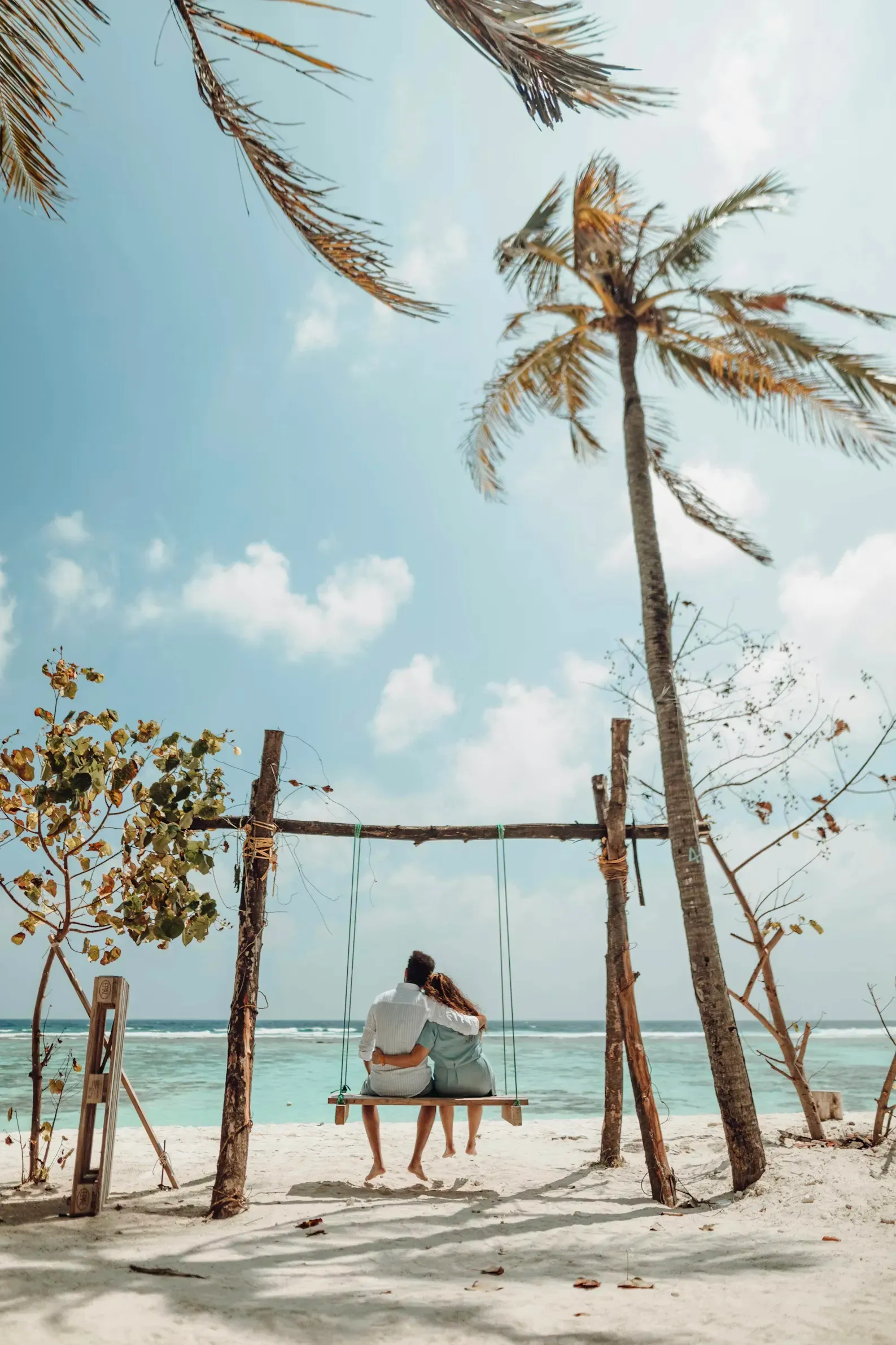 Couple sitting together on a beach swing under palm trees